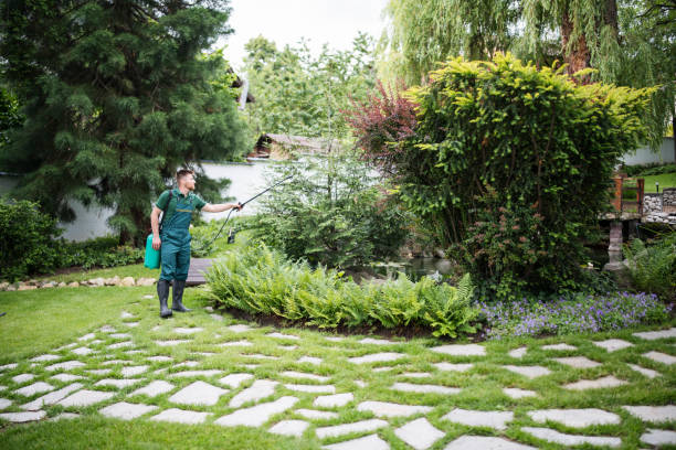 Best Lawn Watering Services  in Mineral Point, WI