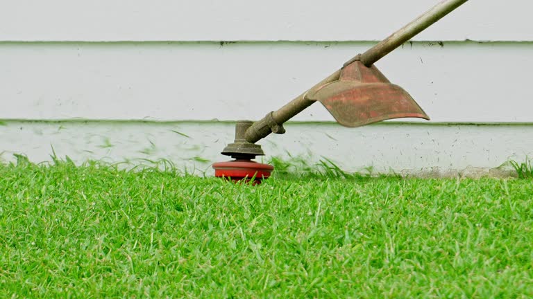 Best Storm Damage Tree Cleanup  in Mineral Point, WI